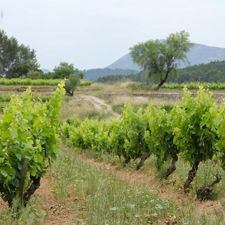La Maison De Campagne Carces Экстерьер фото