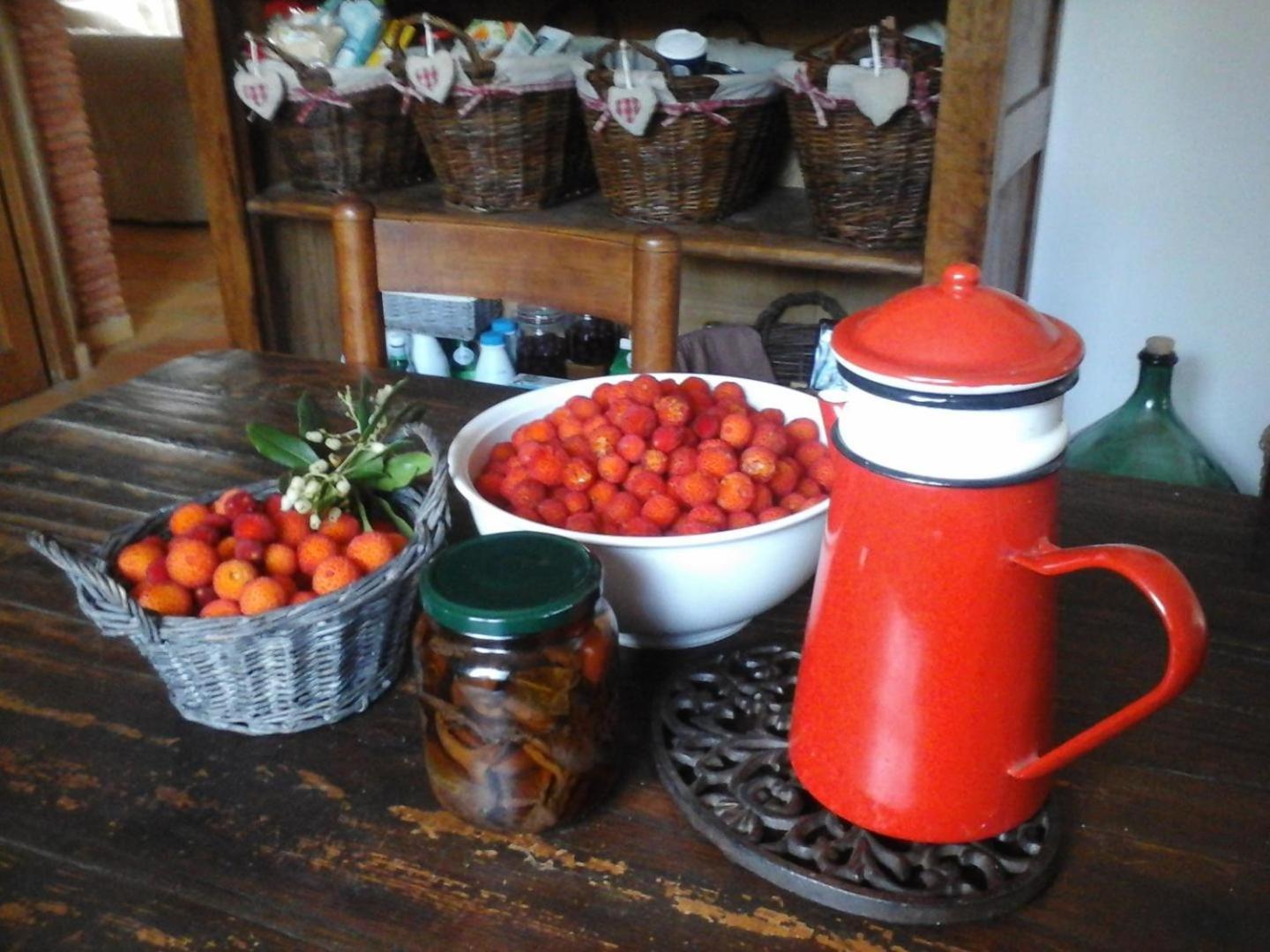 La Maison De Campagne Carces Экстерьер фото